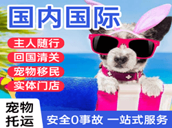 花果山航空空运国际宠物托运 【国